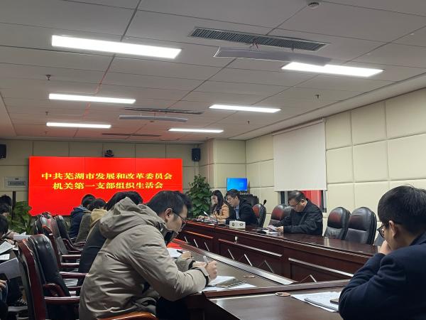 市发改委机关第一支部召开组织生活会